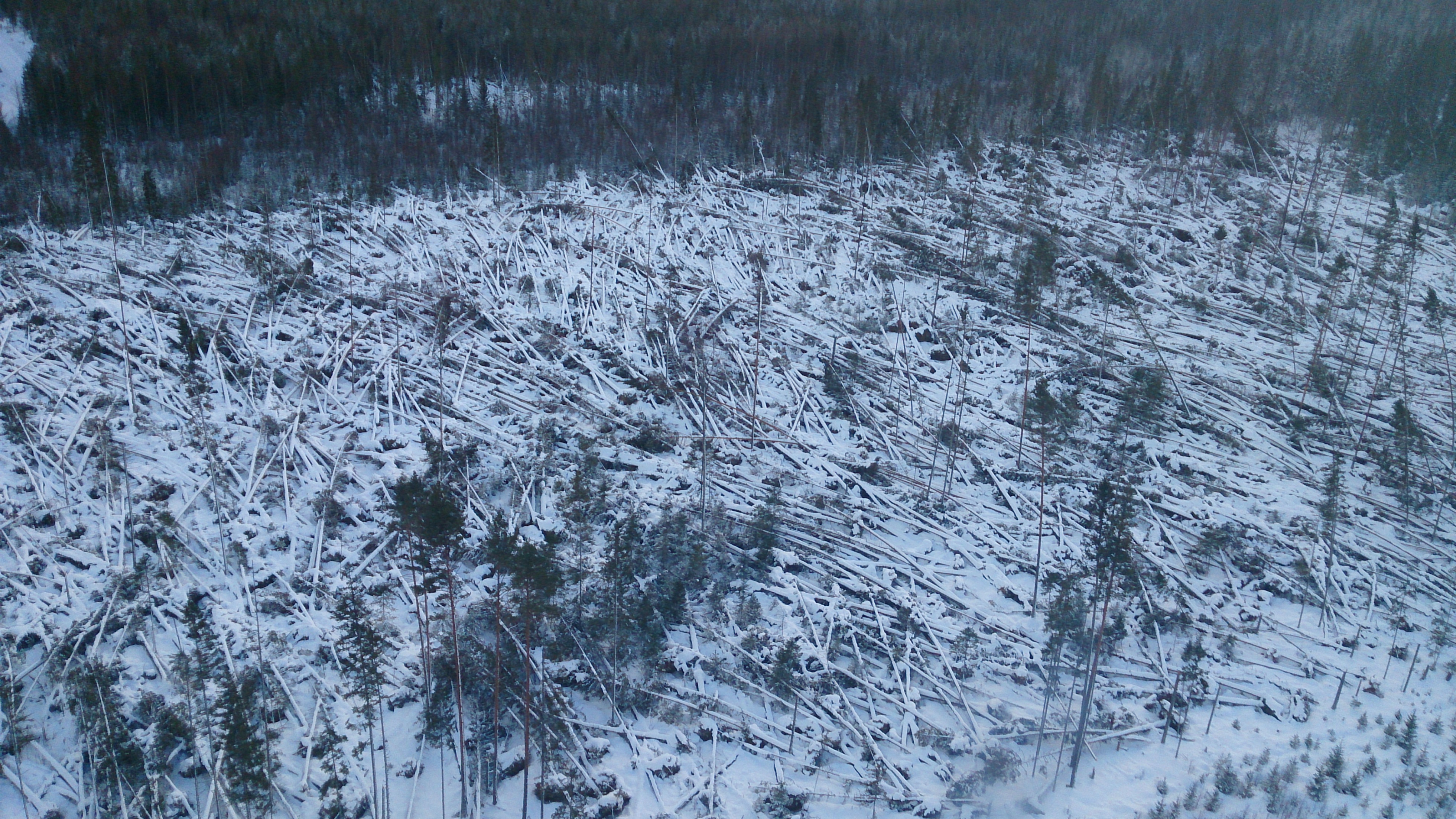 Brev till landsbygdsministern