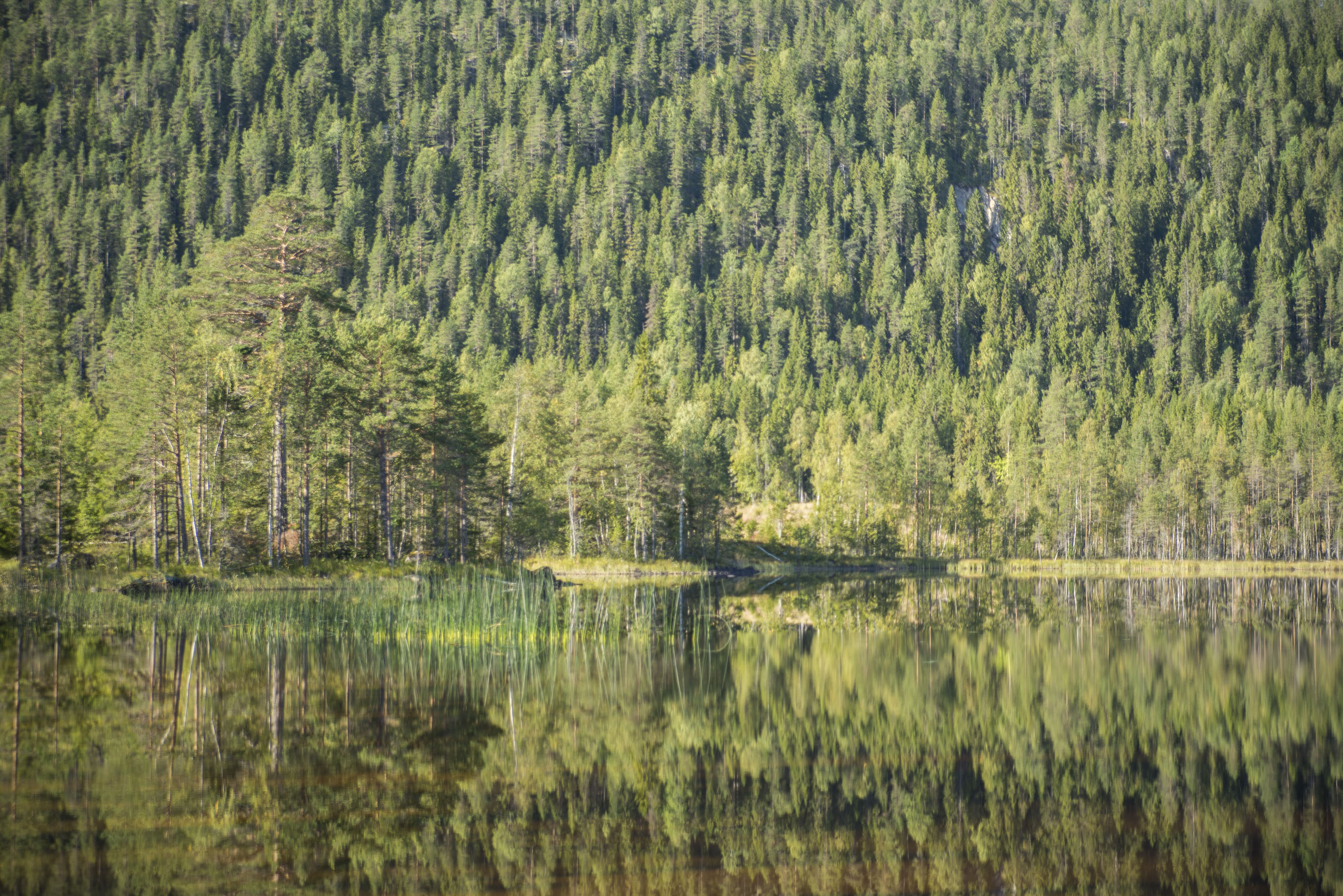 <p class='slider-font'><strong></strong><br></p>