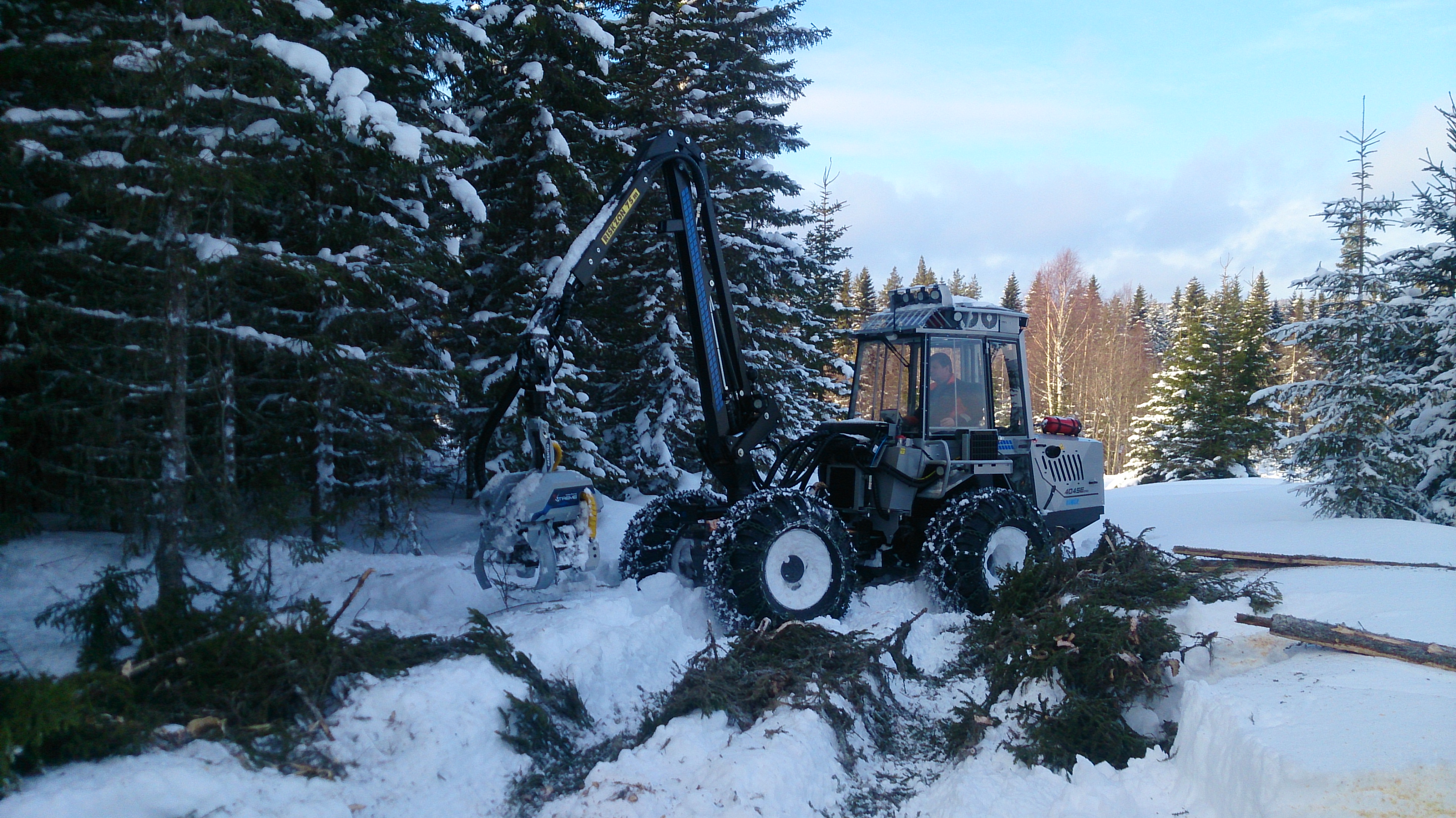 Bilder från gallringsdagen