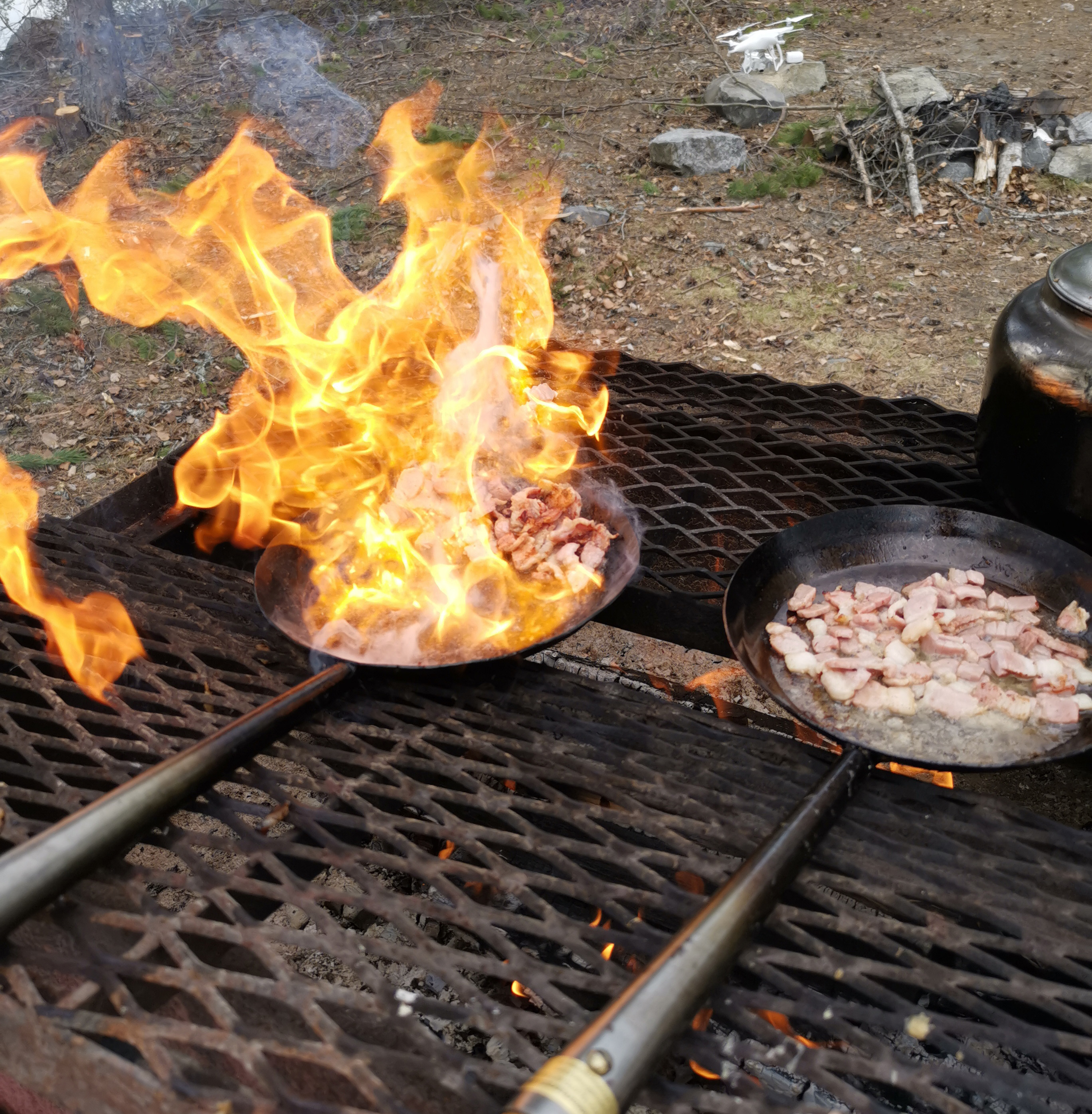 Bilder - Gallringsdagen